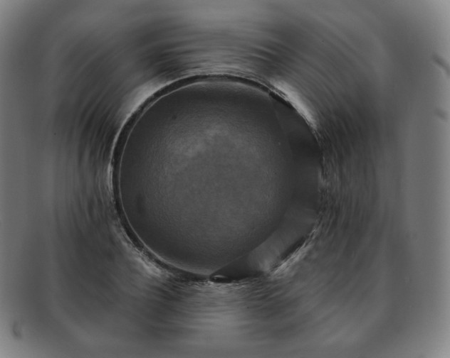 X0000091890932200709121437