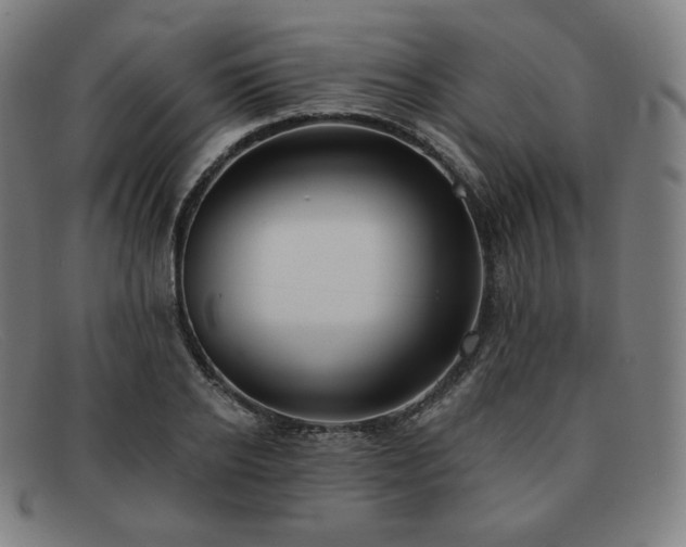 X0000091890934200709121437