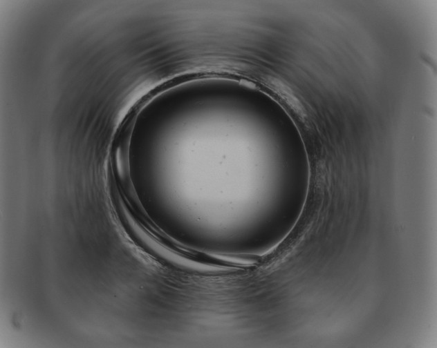 X0000091890936200709121437