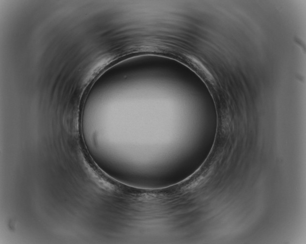 X0000091890938200709121437