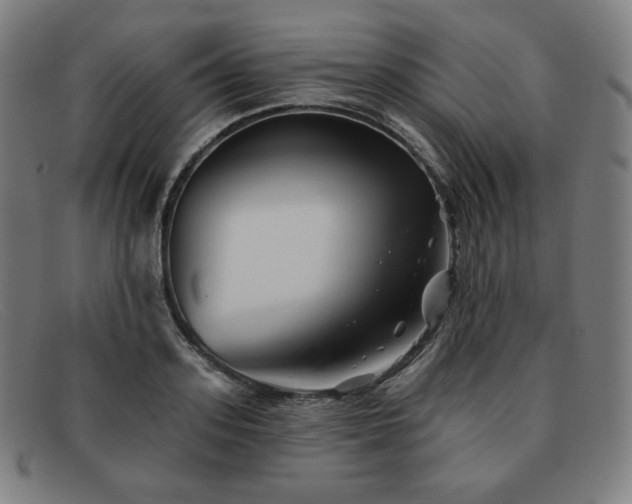 X0000091890939200709121437