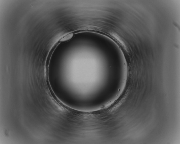 X0000091890940200709121437