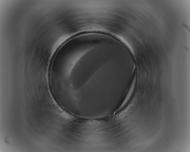 X0000091890943200709121437