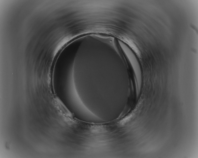 X0000091890944200709121437