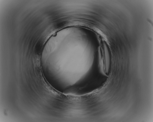 X0000091890945200709121437