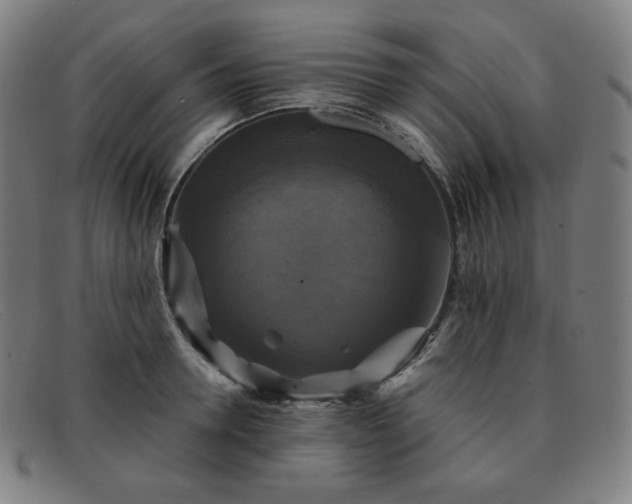 X0000091890946200709121437