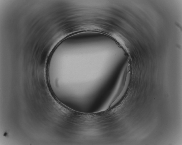 X0000091890947200709121437