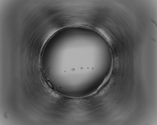 X0000091890948200709121437