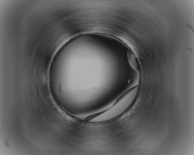 X0000091890949200709121437