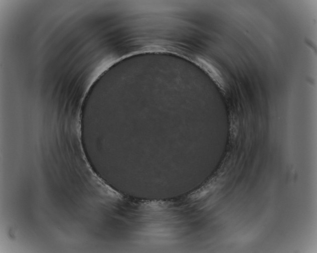 X0000091890950200709121437