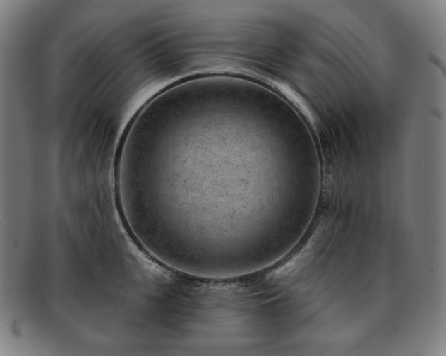 X0000091890951200709121437