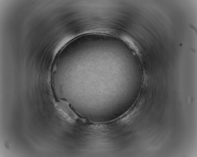 X0000091890952200709121437