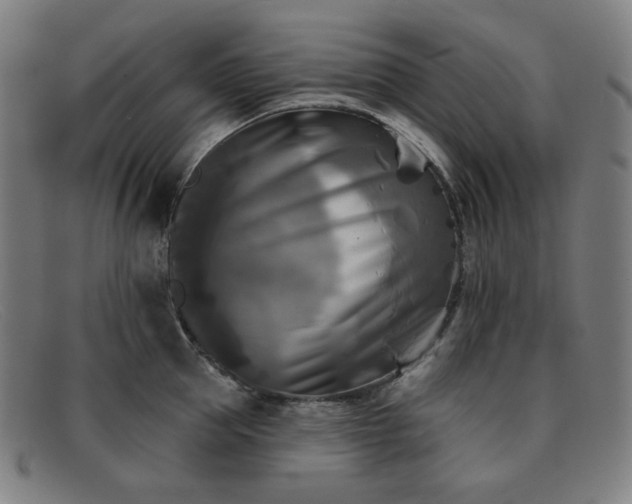 X0000091890953200709121437