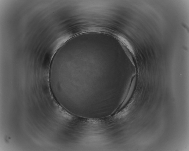 X0000091890954200709121437