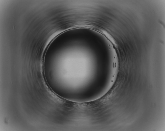X0000091890955200709121437