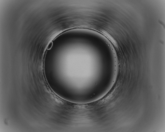 X0000091890956200709121437