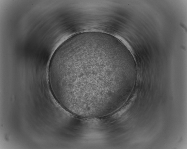 X0000091890957200709121437
