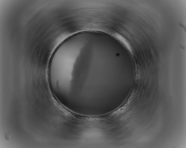 X0000091890958200709121437