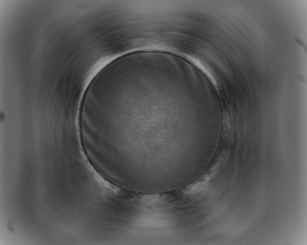 X0000091890959200709121437