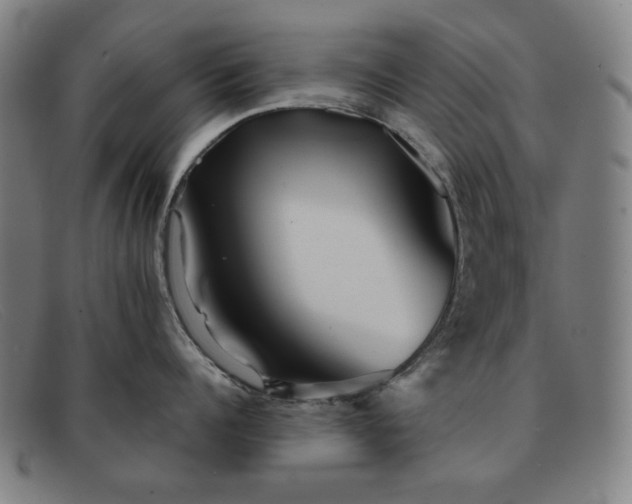 X0000091890960200709121437
