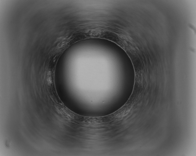 X0000091890962200709121437