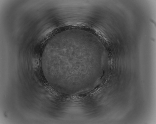 X0000091890966200709121437
