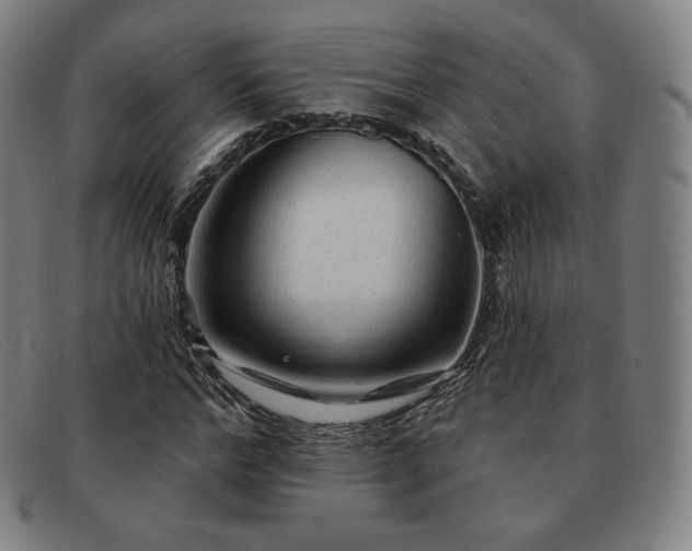X0000091890968200709121437