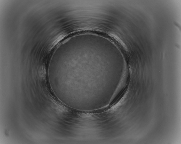 X0000091890969200709121437