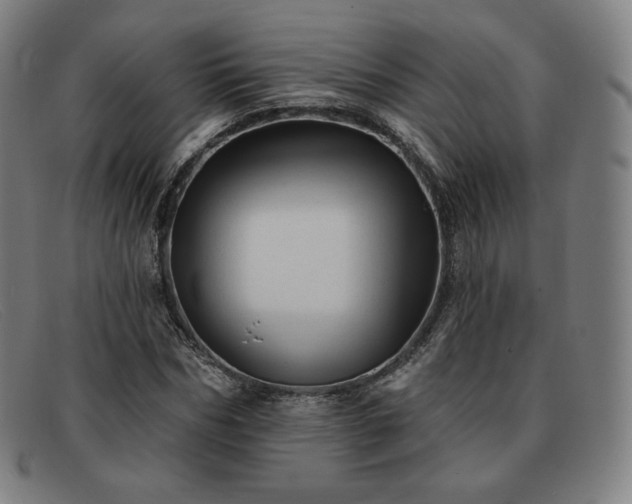 X0000091890970200709121437