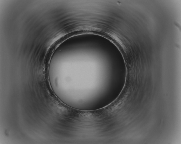 X0000091890971200709121437