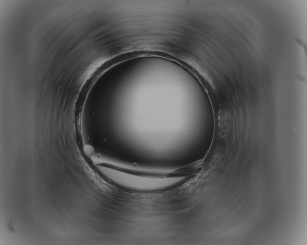 X0000091890972200709121437