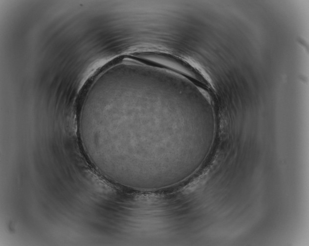X0000091890973200709121437