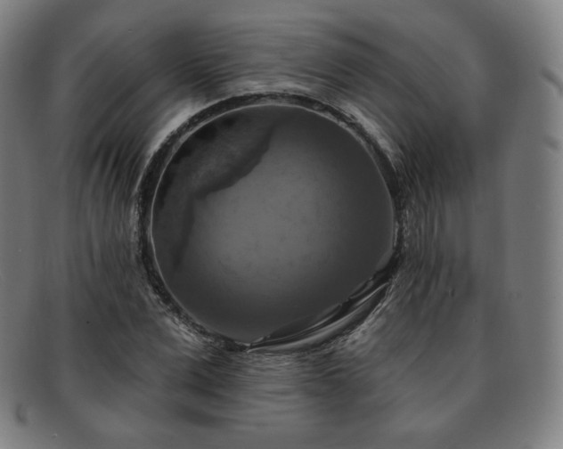 X0000091890975200709121436