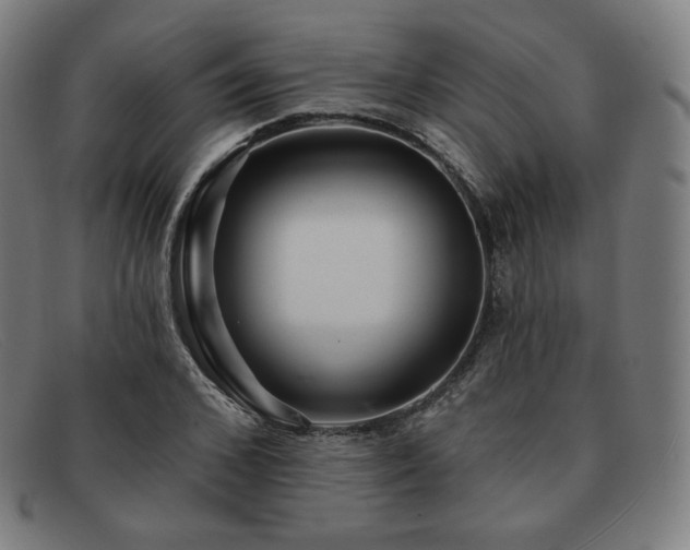X0000091890976200709121436