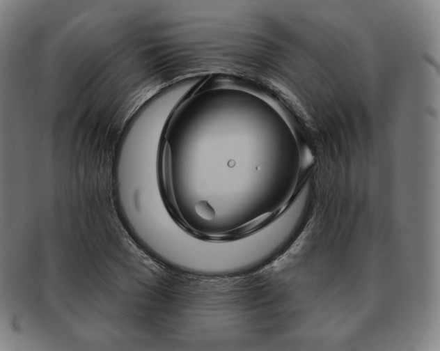X0000091890977200709121436