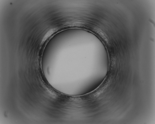 X0000091890978200709121436