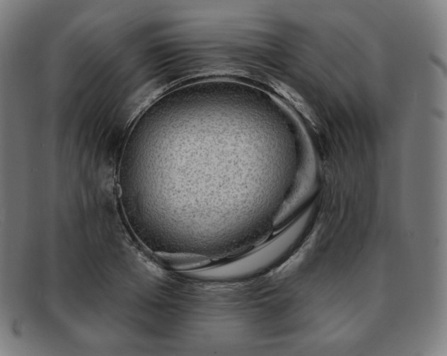 X0000091890985200709121436