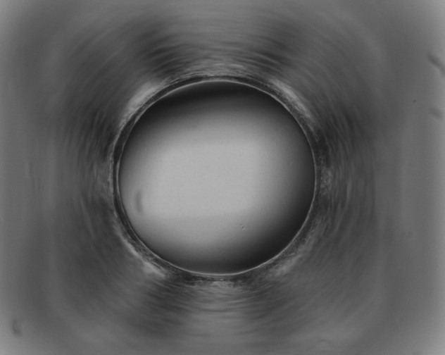 X0000091890986200709121436