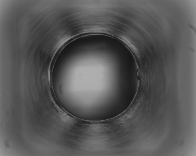 X0000091890988200709121436