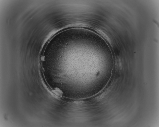 X0000091890989200709121436