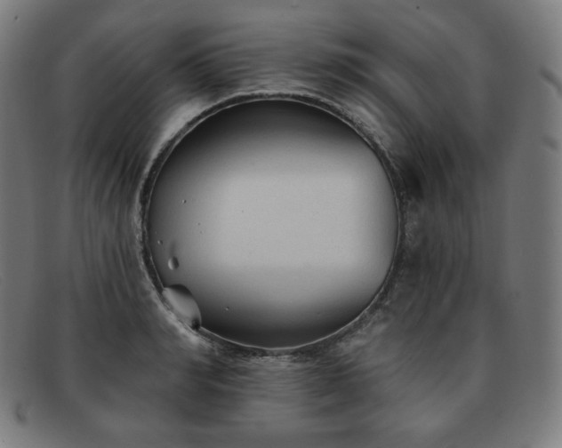 X0000091890990200709121436