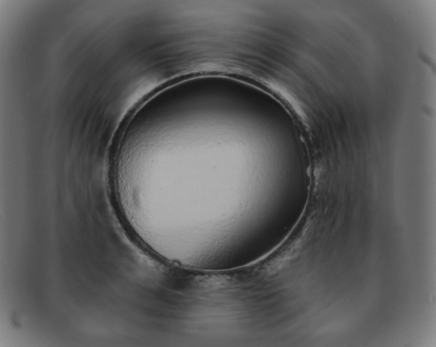 X0000091890991200709121436