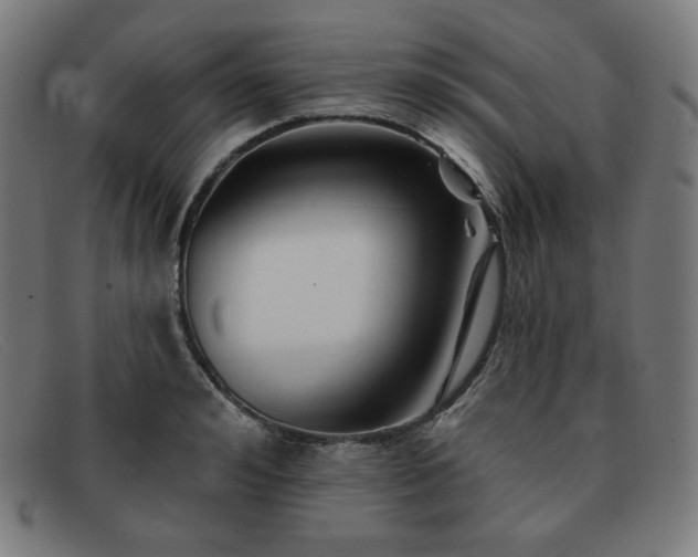 X0000091890992200709121436