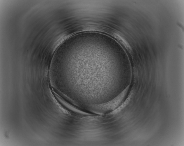 X0000091890993200709121436