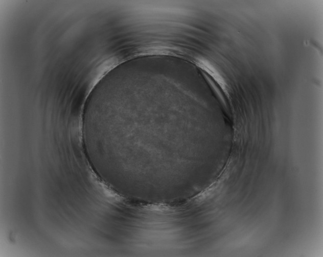 X0000091890994200709121436