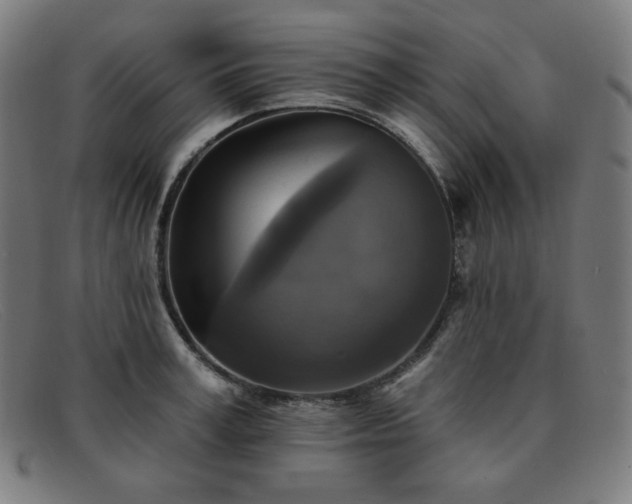 X0000091890995200709121436