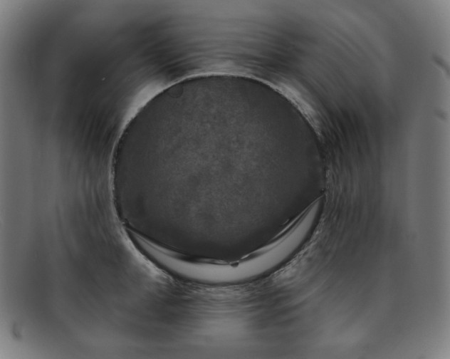 X0000091890998200709121436