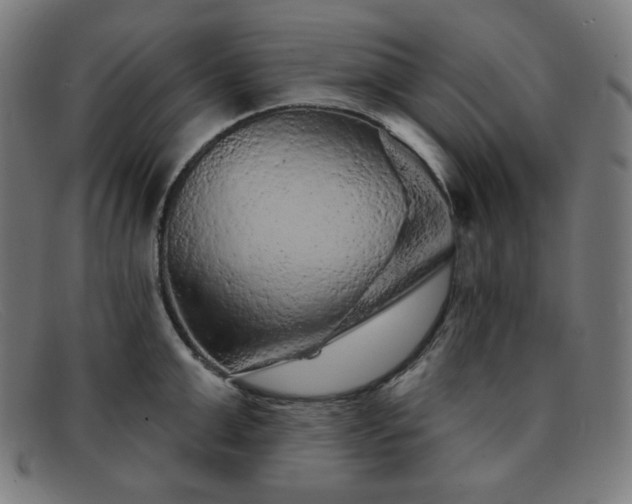 X0000091890999200709121436