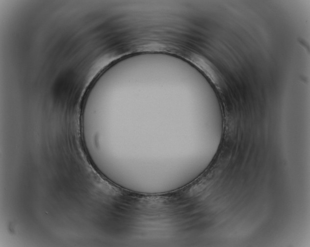 X0000091891000200709121436