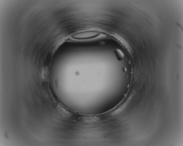X0000091891001200709121436